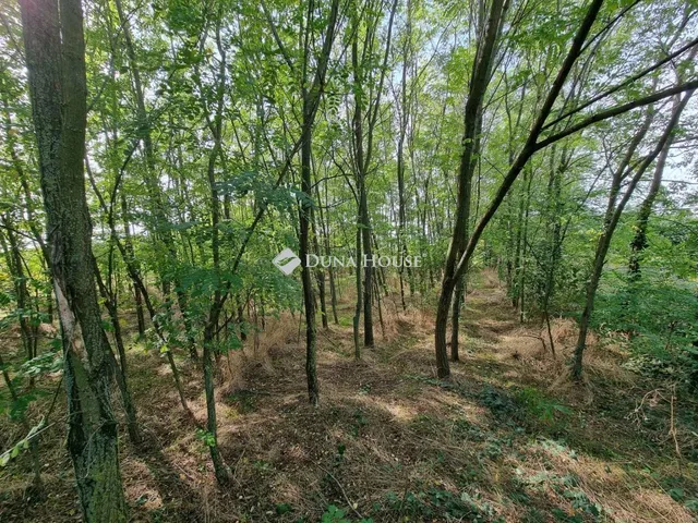Eladó telek Szigetvár 1168 nm