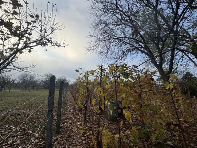 Eladó ház Pécs, Hamvas utca 30 nm