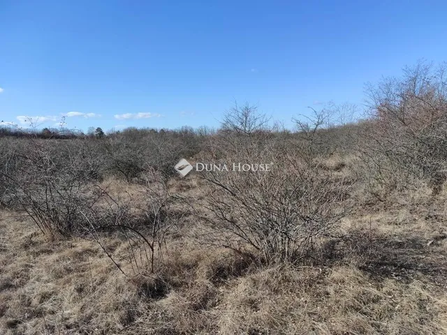 Eladó mezőgazdasági ingatlan Csomád 5861 nm