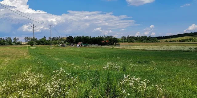 Eladó telek Fót 10000 nm