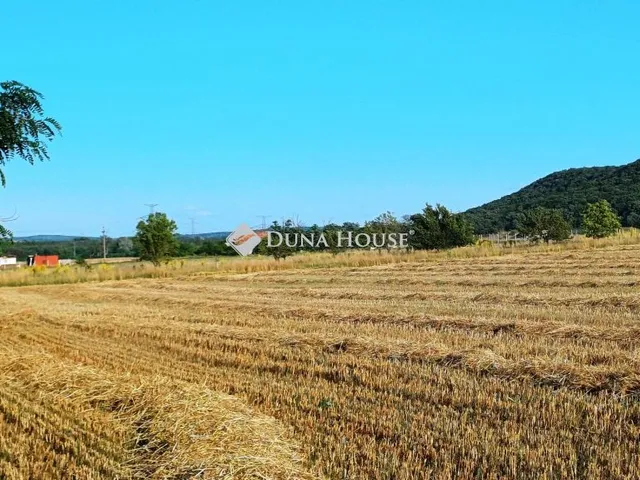 Eladó telek Fót, Nincs utca 1436 nm