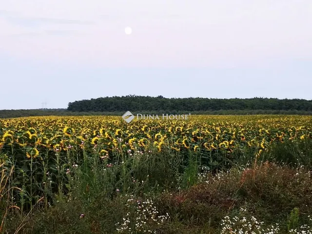 Eladó telek Hatvan 84180 nm