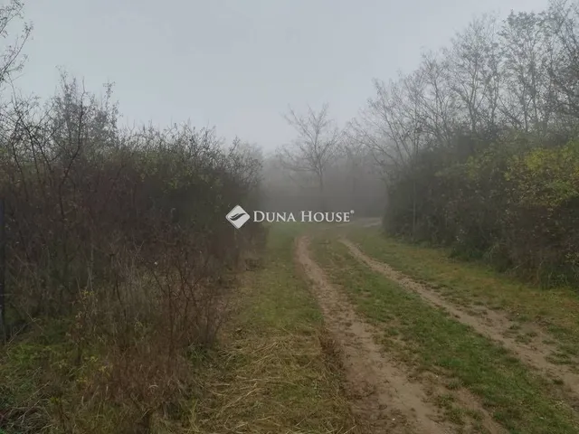 Eladó telek Pásztó, Gyöngyösi utca 863 nm