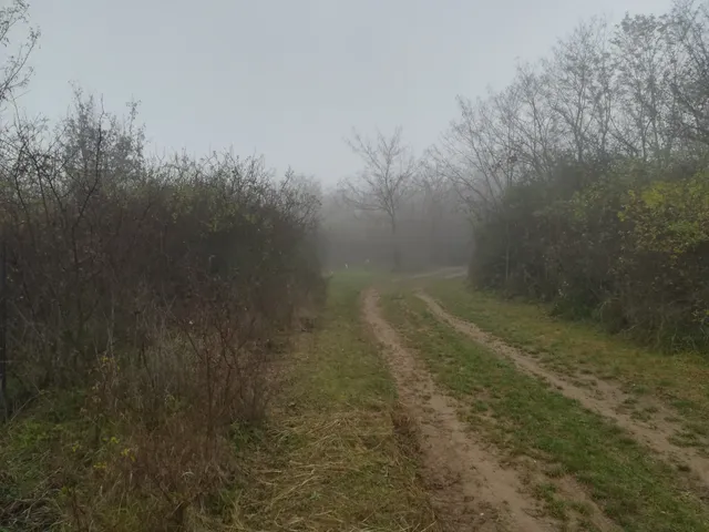 Eladó telek Pásztó, Gyöngyösi utca 863 nm