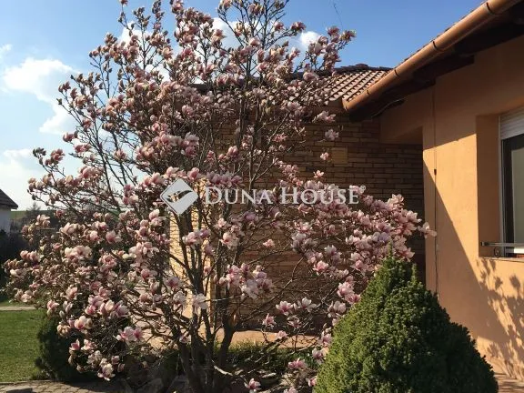 Eladó ház Gyöngyös 126 nm