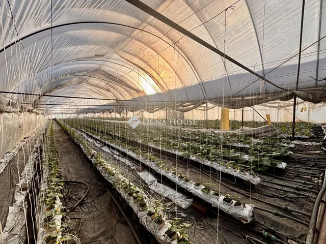 Eladó ház Csány 110 nm