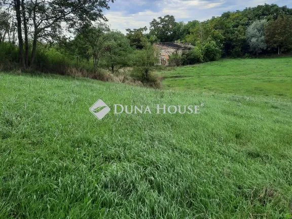 Eladó mezőgazdasági ingatlan Rózsaszentmárton, Külterület 77991 nm