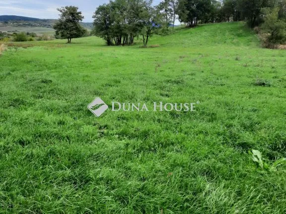 Eladó mezőgazdasági ingatlan Rózsaszentmárton, Külterület 77991 nm