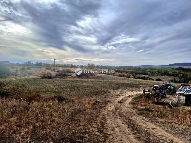 Eladó kereskedelmi és ipari ingatlan Pásztó 14919 nm