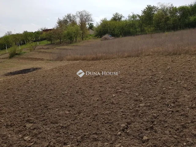 Eladó telek Pázmánd 2008 nm