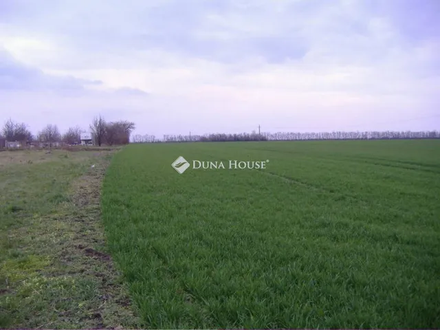 Eladó telek Velence 29629 nm