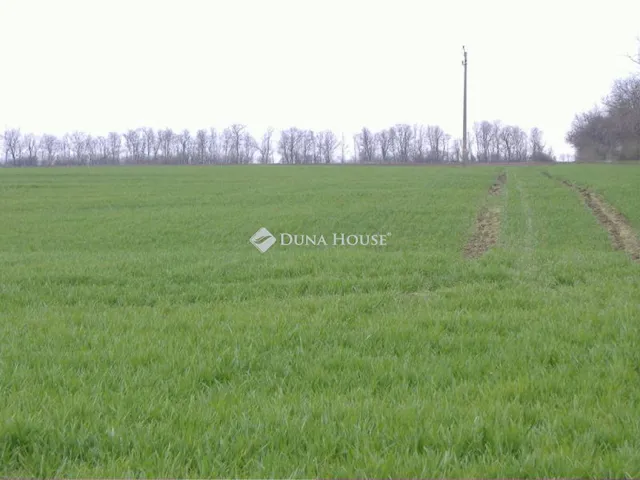 Eladó telek Velence 29629 nm
