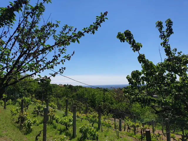 Eladó telek Budaörs 2160 nm