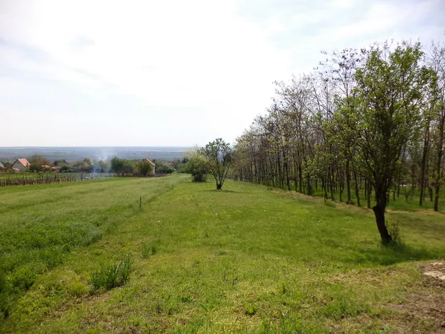 Eladó telek Pázmánd 948 nm