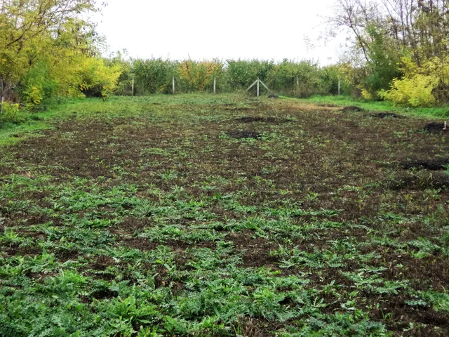 Eladó telek Pusztaszabolcs 1256 nm