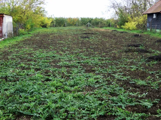 Eladó telek Pusztaszabolcs, Akácfa utca 1256 nm