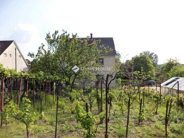Eladó ház Székesfehérvár 164 nm