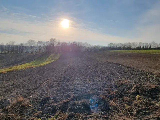 Eladó telek Pázmánd 2192 nm