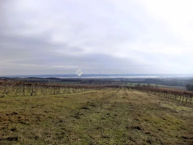 Eladó mezőgazdasági ingatlan Sukoró 2761 nm