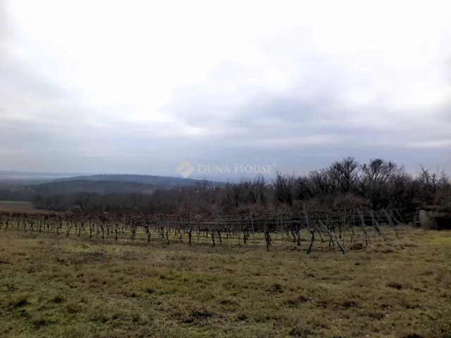 Eladó mezőgazdasági ingatlan Sukoró 2761 nm