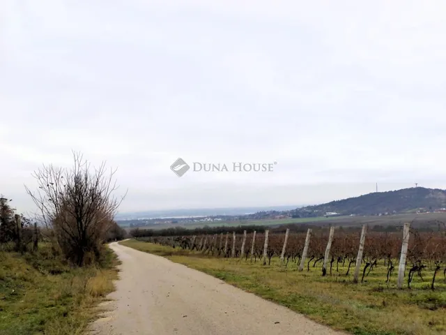 Eladó mezőgazdasági ingatlan Nadap 2687 nm