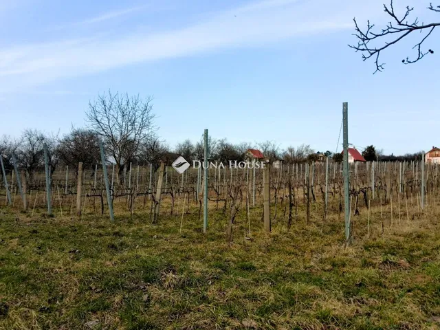 Eladó telek Pázmánd 1895 nm