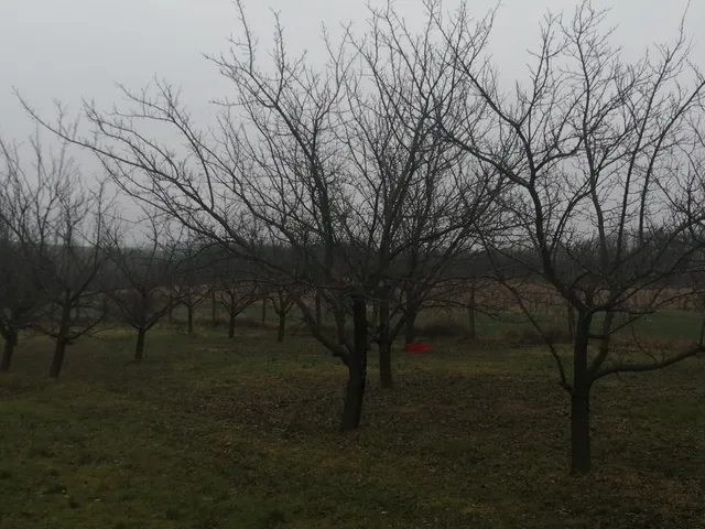 Eladó mezőgazdasági ingatlan Vérteskethely, Nincs utca 6139 nm