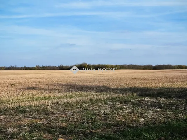 Eladó telek Szabadhidvég 145868 nm
