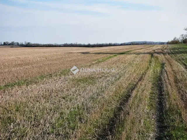 Eladó telek Szabadhidvég, Fő utca 145868 nm