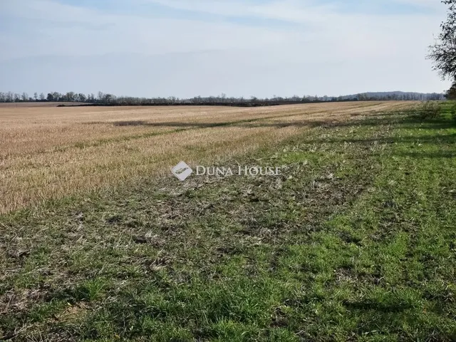 Eladó telek Szabadhidvég, Fő utca 145868 nm