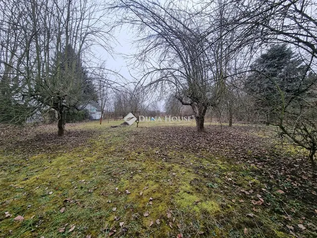 Eladó telek Tiszaug 2461 nm