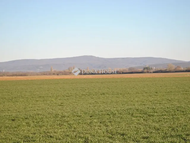 Eladó telek Csót 3616 nm