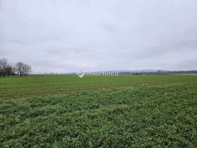 Eladó telek Csót, Petőfi utca 3616 nm