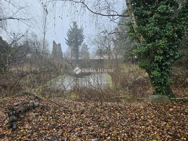 Eladó ház Abda, Bécsi utca 240 nm