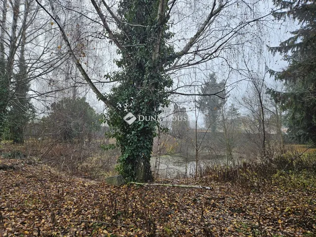 Eladó ház Abda, Bécsi utca 240 nm