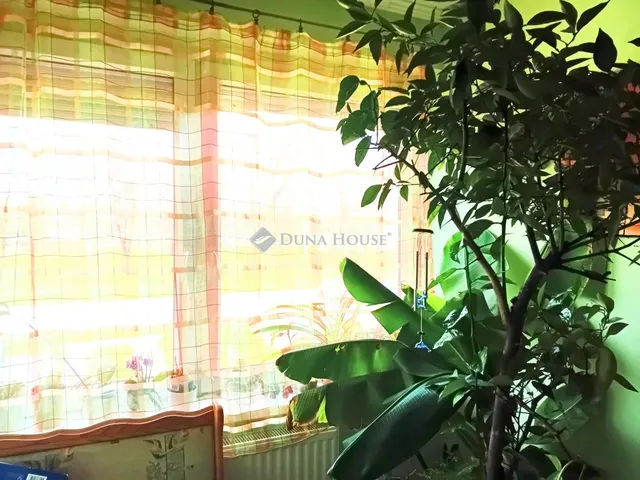 Eladó lakás Nagyszentjános, Fő utca 117 nm