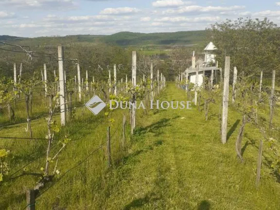 Eladó üdülő és hétvégi ház Ravazd, Zártkert 10 nm