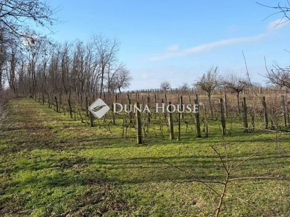 Eladó mezőgazdasági ingatlan Kisbér, Zártkert 20 nm