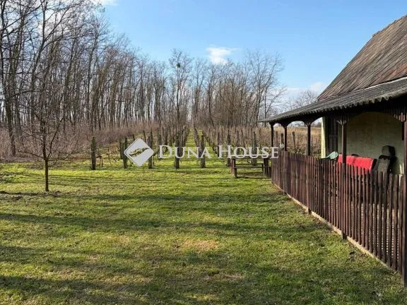 Eladó mezőgazdasági ingatlan Kisbér, Zártkert 20 nm