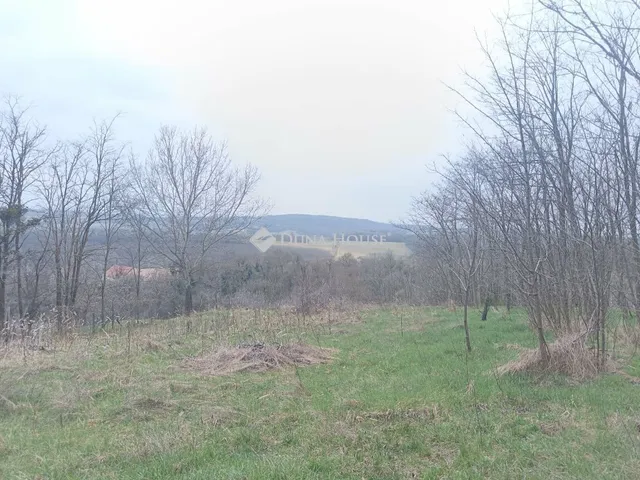 Eladó telek Súr, Zártkert 2769 nm