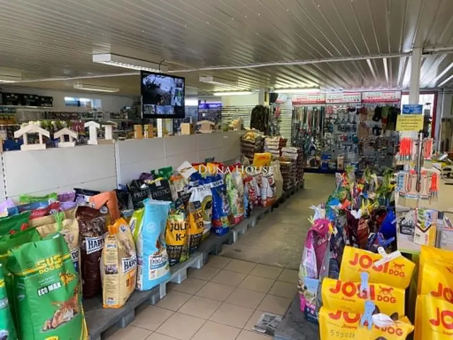 Eladó ház Ászár, Nincs utca 850 nm