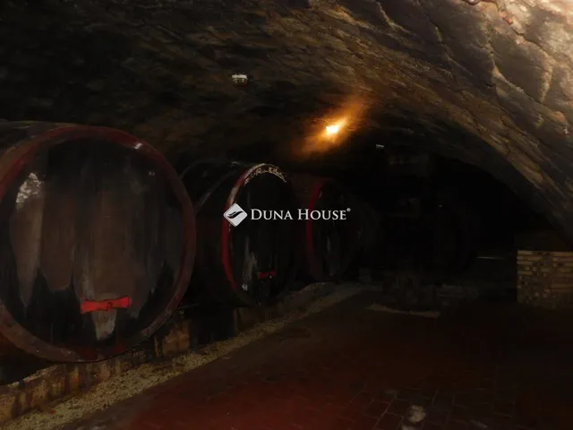 Eladó mezőgazdasági ingatlan Tokaj 300 nm