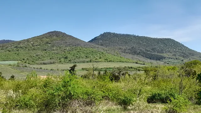 Eladó telek Sátoraljaújhely 400000 nm