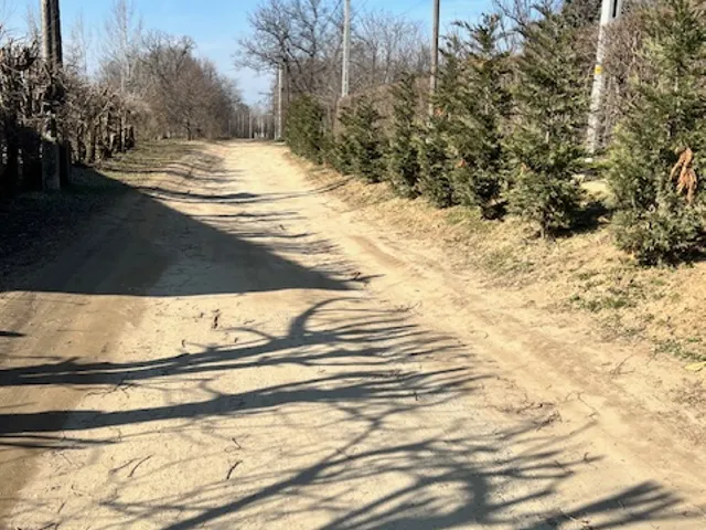 Eladó mezőgazdasági ingatlan Csomád 886 nm