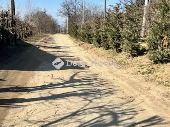 Eladó mezőgazdasági ingatlan Csomád 886 nm