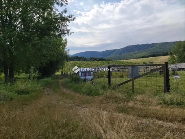 Eladó mezőgazdasági ingatlan Szendehely 714 nm