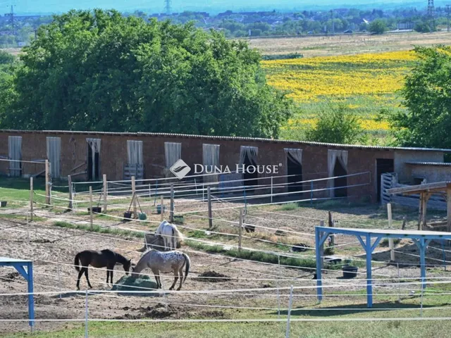 Eladó mezőgazdasági ingatlan Fót 56 nm
