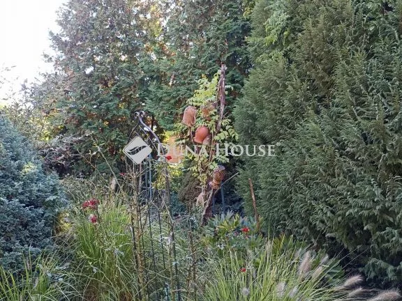 Eladó telek Kosd, Erzsébet utca 829 nm