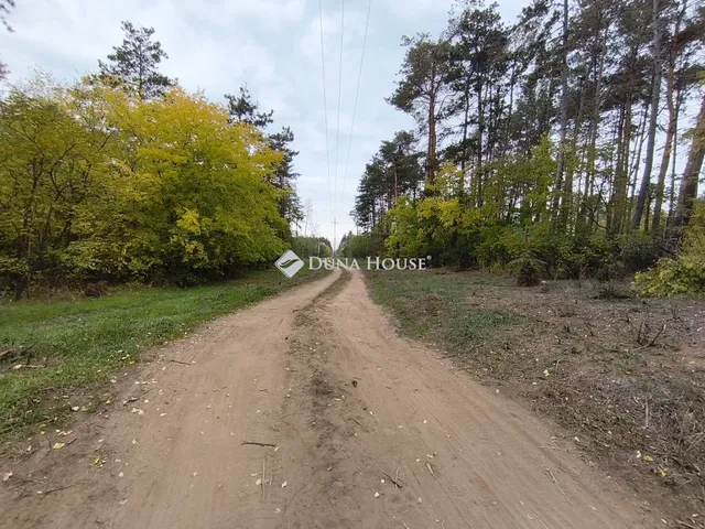 Eladó telek Szada, Fenyő utca 1874 nm