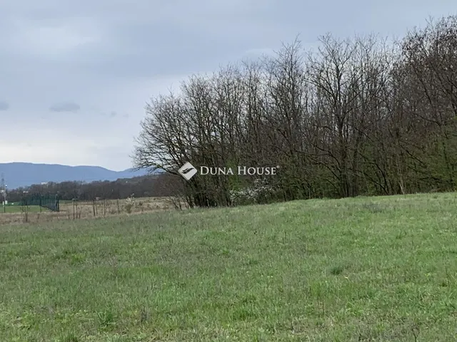 Eladó mezőgazdasági ingatlan Vácrátót 4675 nm